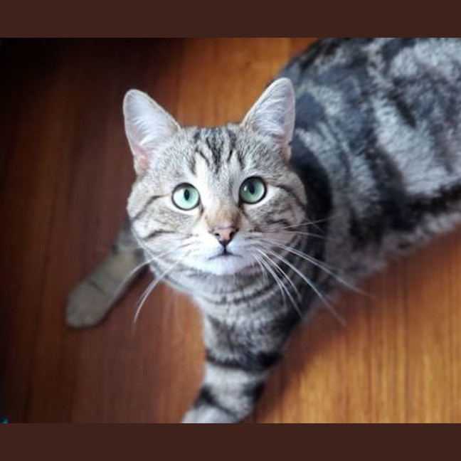 Photo of Mateo