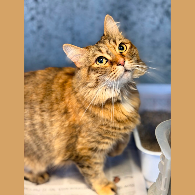 Photo of Beatrix