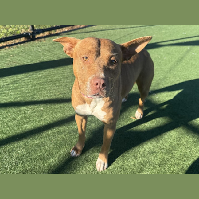 Photo of Marjorie Imp 1977