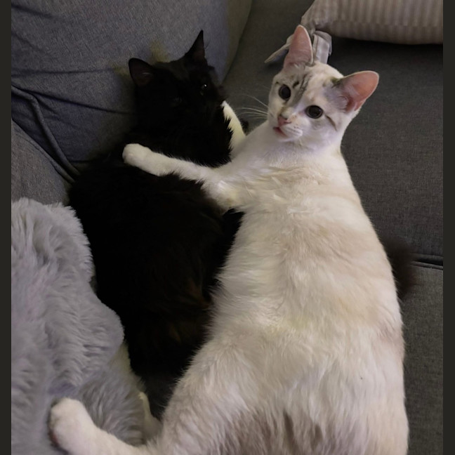 Photo of Marie & Mercedes 