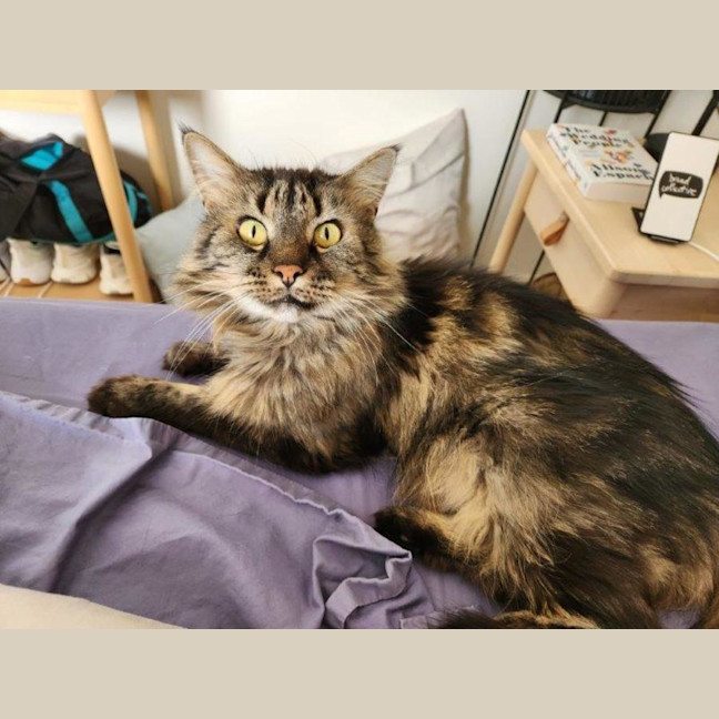 Photo of Molly Lozano