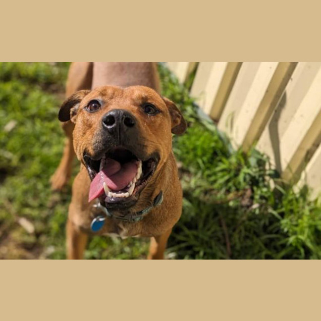 Photo of Rocco