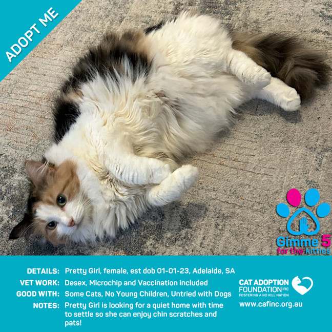 Photo of Pretty Girl Only $39 Limited Time!