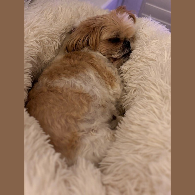 Photo of Peppa