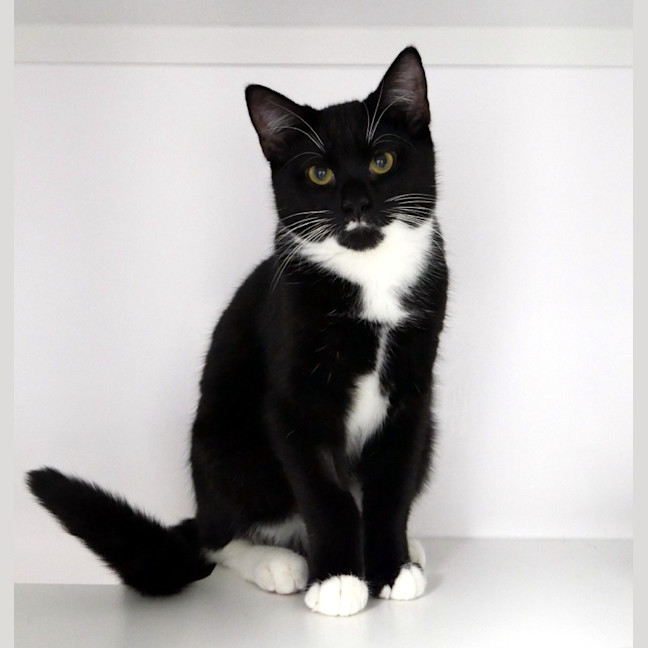 Photo of Teddy Stk013754