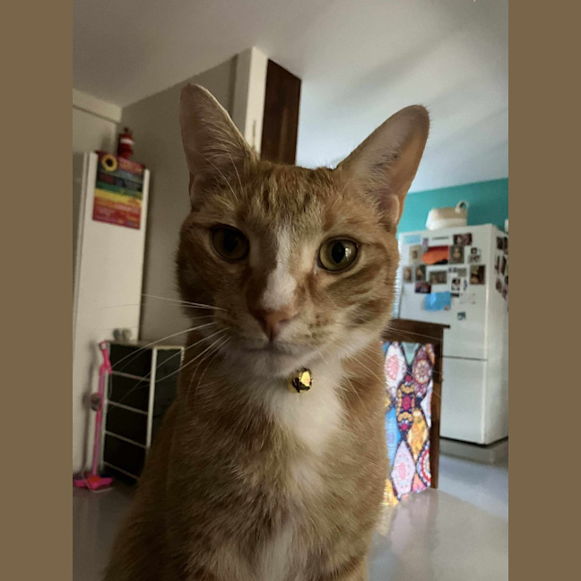 Photo of Billy