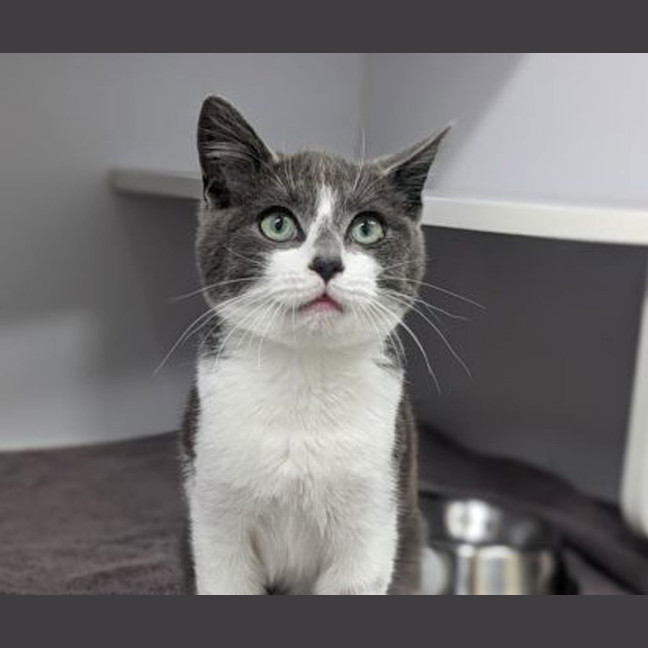 Photo of Mr Belvedere