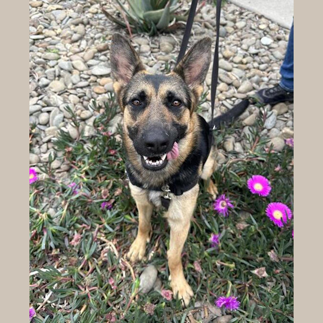 Photo of Trudy