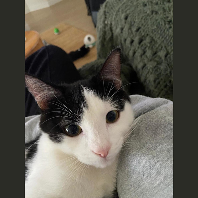 Photo of Arlo