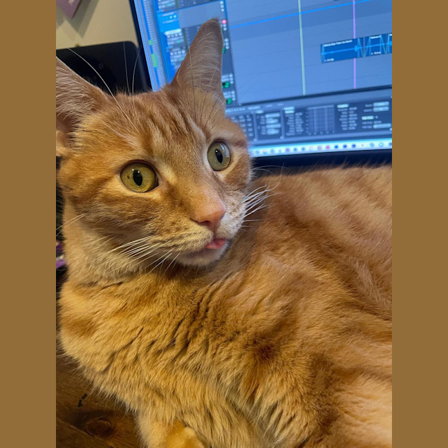 Photo of Rocky