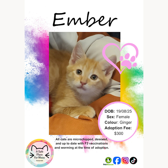 Photo of Ember