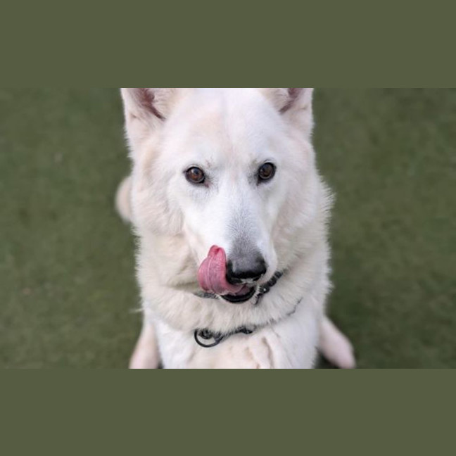 Photo of Storm