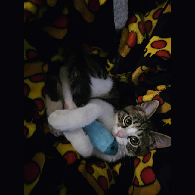 Photo of Jazzy