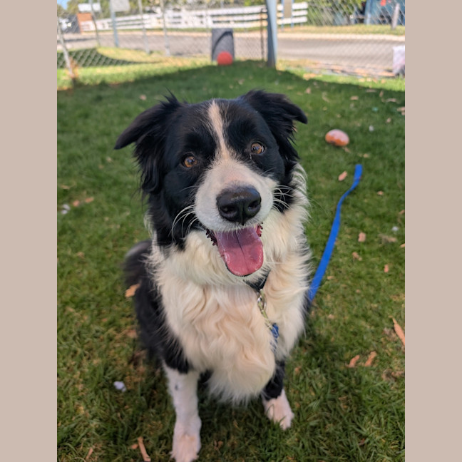 Photo of Misty