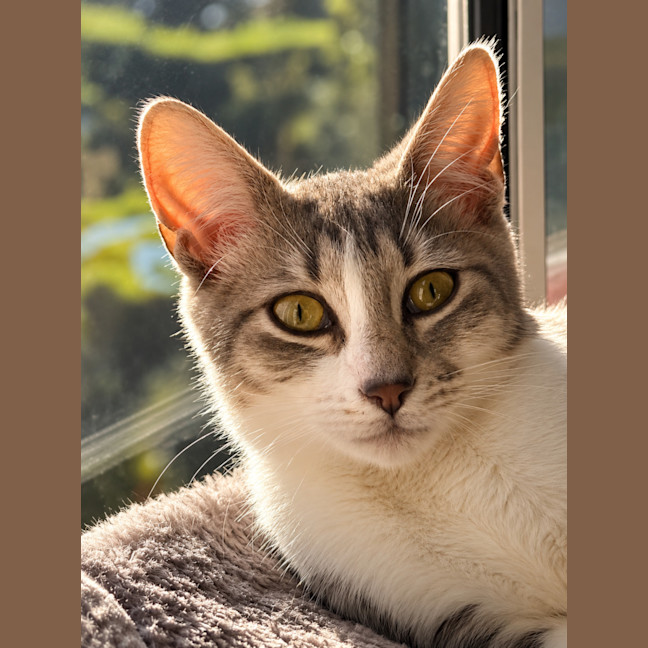 Photo of Janie