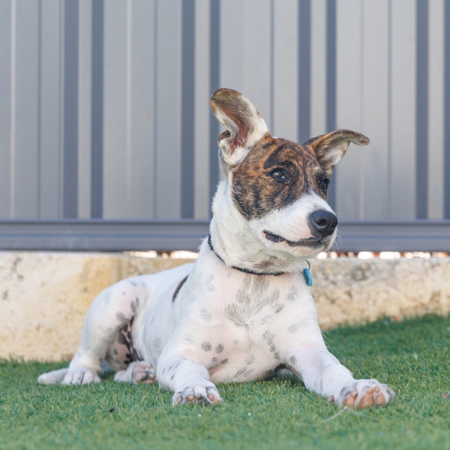 Photo of Missy