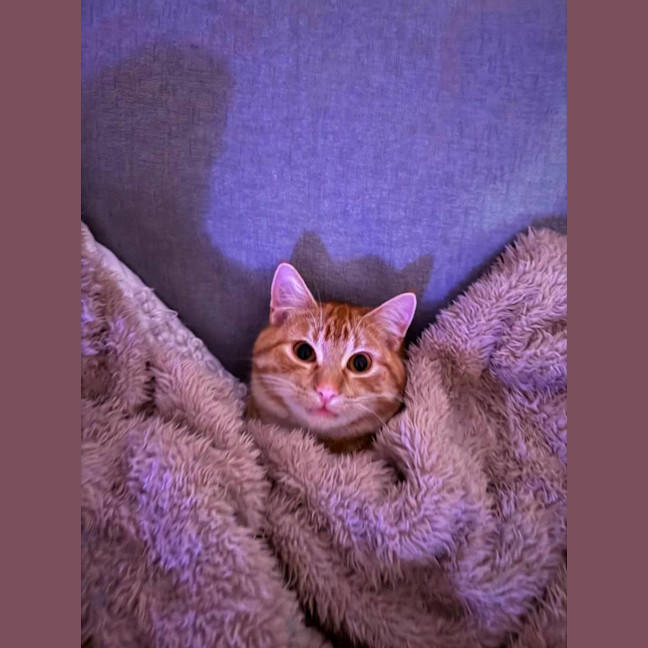 Photo of George