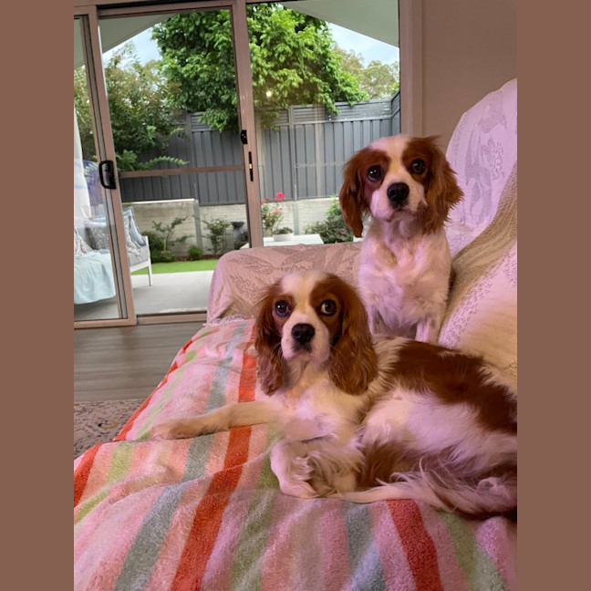 Photo of Beautiful Poppy And Pearl 