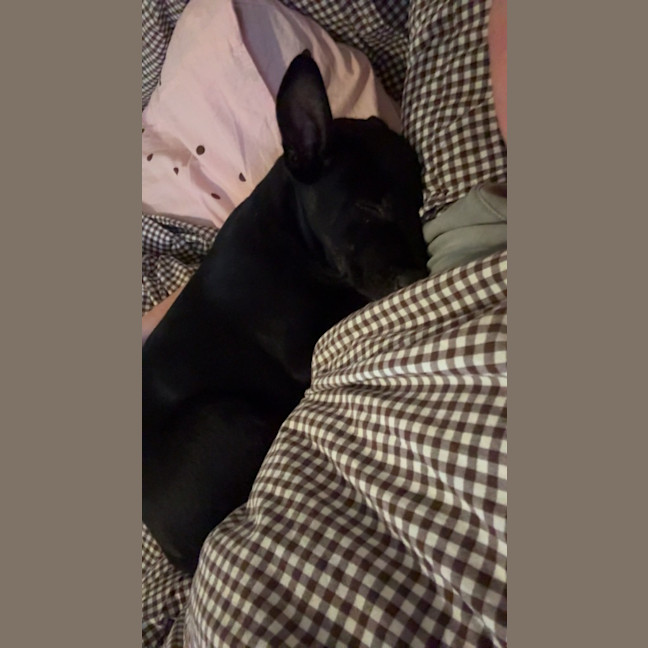 Photo of Nugget