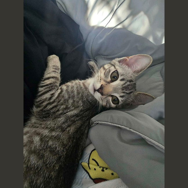 Photo of Eli
