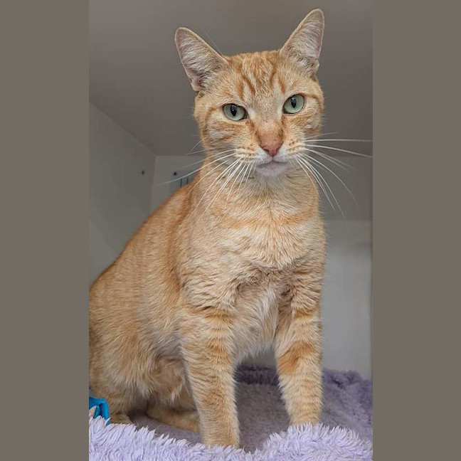 Photo of Twist