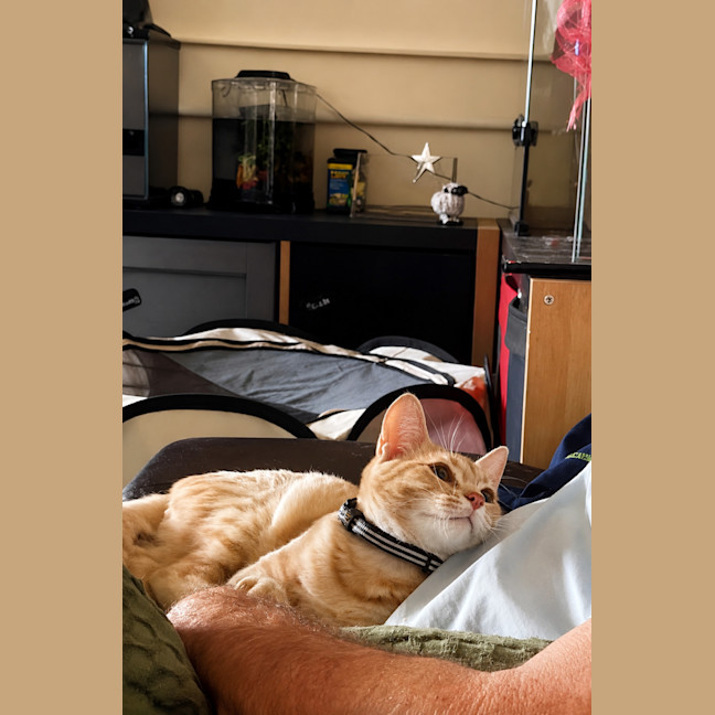 Photo of Nelson