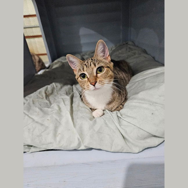 Photo of Leyla