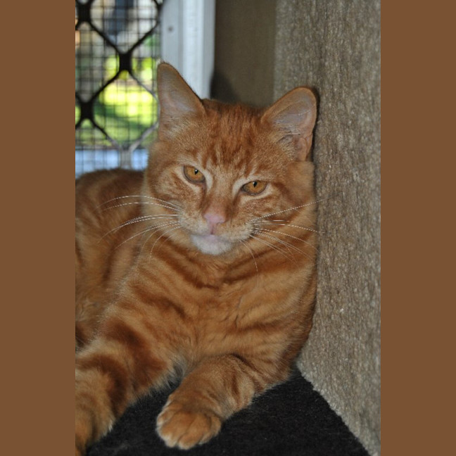 Photo of Jasper