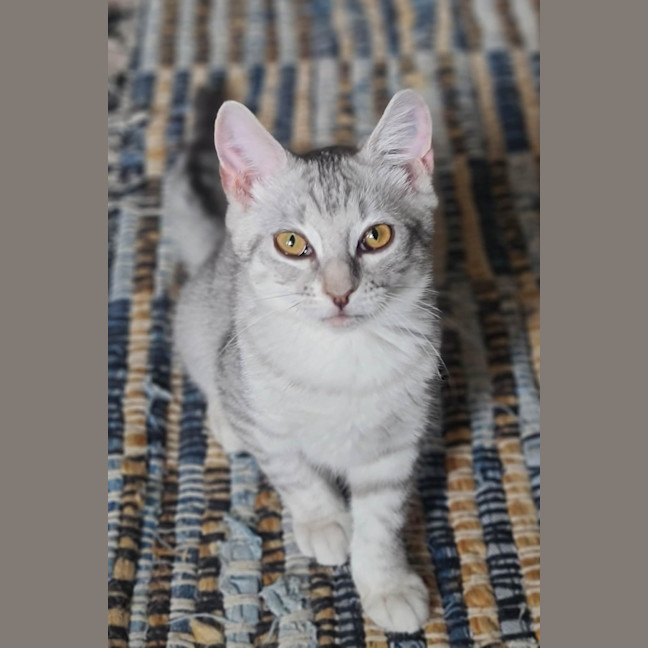 Photo of Osha & Rosemary