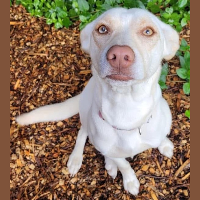Photo of Sugar