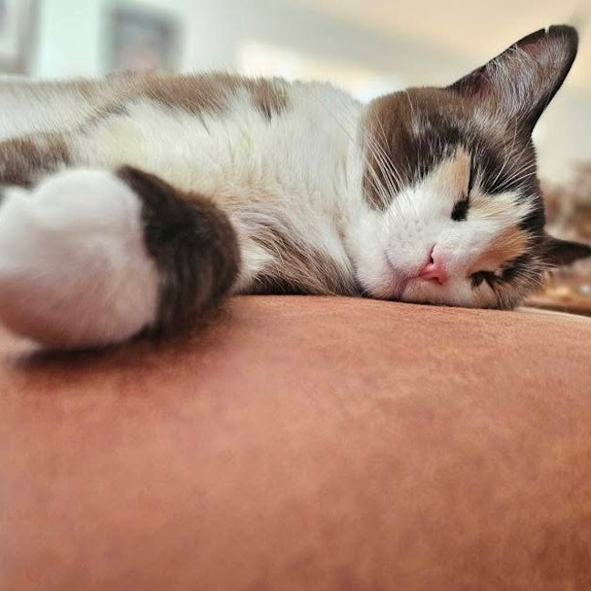 Photo of Miss Marbles