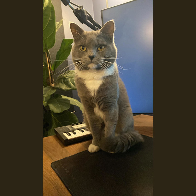 Photo of Leo