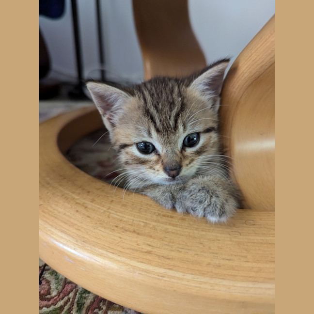 Photo of Minx