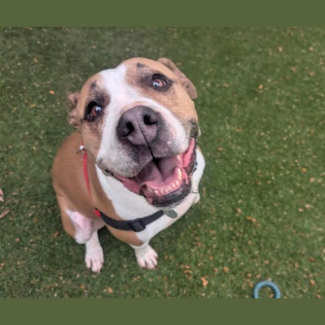 Photo of Roxy