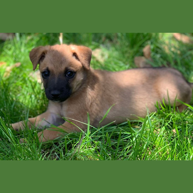 Photo of Tiny