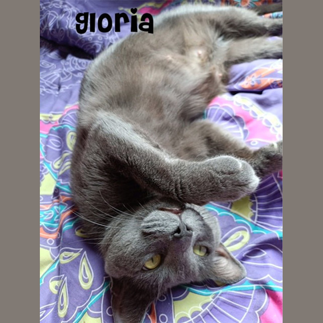 Photo of Gloria