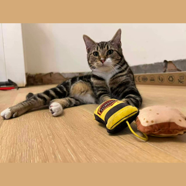Photo of Little One