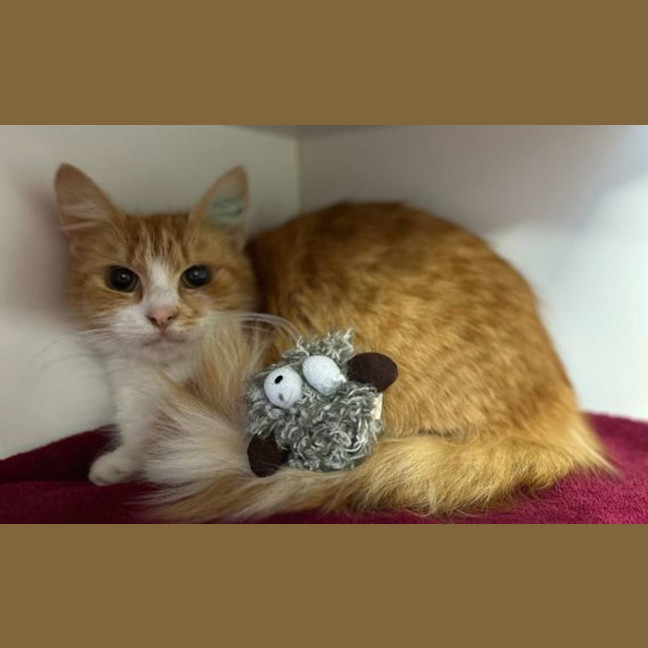 Photo of Endora