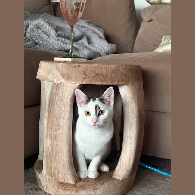 Photo of Smokey