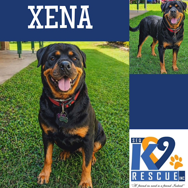 Photo of Xena