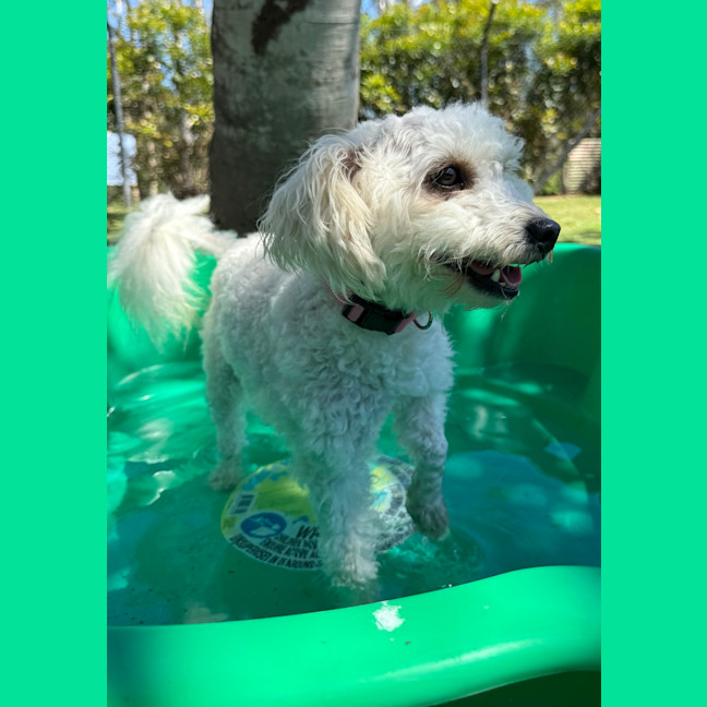 Photo of Betty