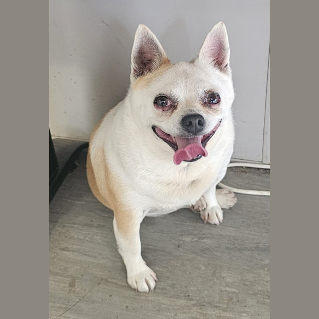 Photo of Tank