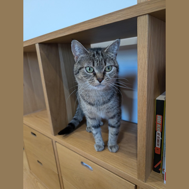 Photo of 💖Rin!!💖