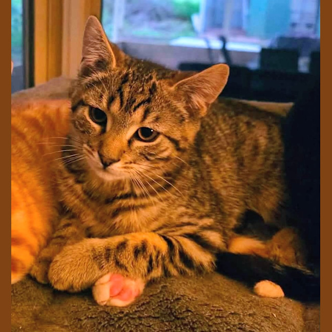 Photo of Sprinkles