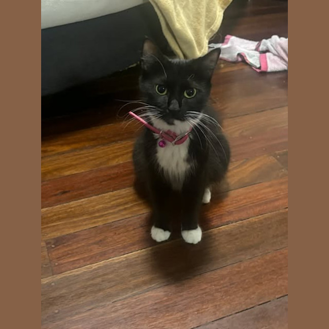 Photo of Della