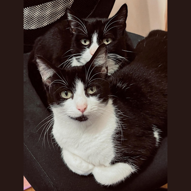 Photo of Lily & Delilah 