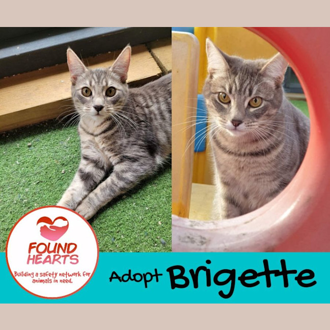 Photo of Brigette 