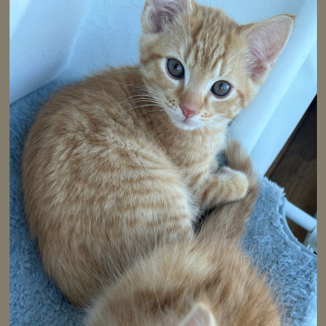 Photo of Theo