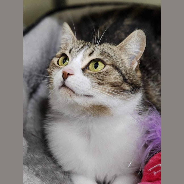 Photo of 🧸 Gemma 5509 🧸