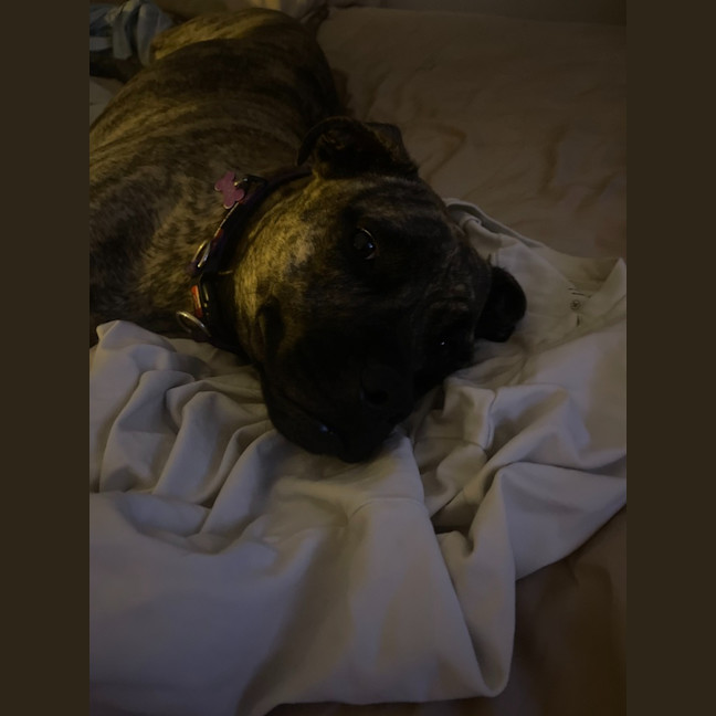 Photo of Leia